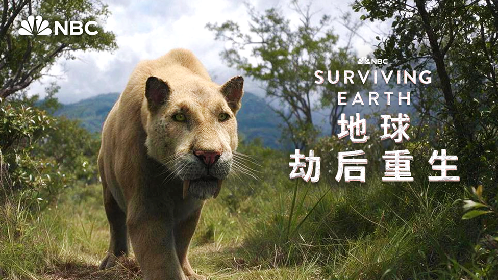 感受200万年前刃齿虎的压迫感